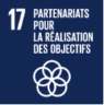ODD_17_Partenariats_pour_la_réalisation_des_objectifs