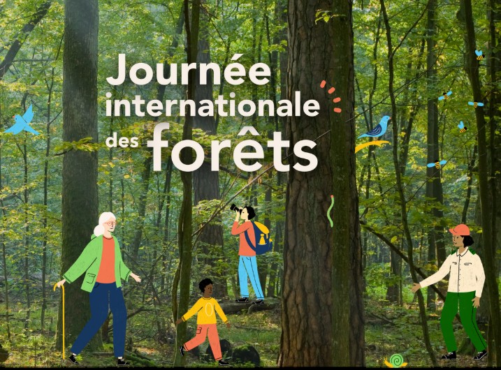 Découvrir le programme | Journée Internationale des Forêts